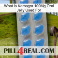 What Is Kamagra 100Mg Oral Jelly Used For 22